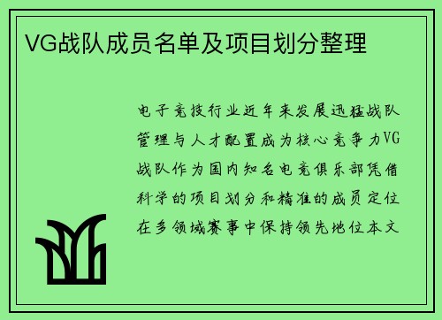 VG战队成员名单及项目划分整理